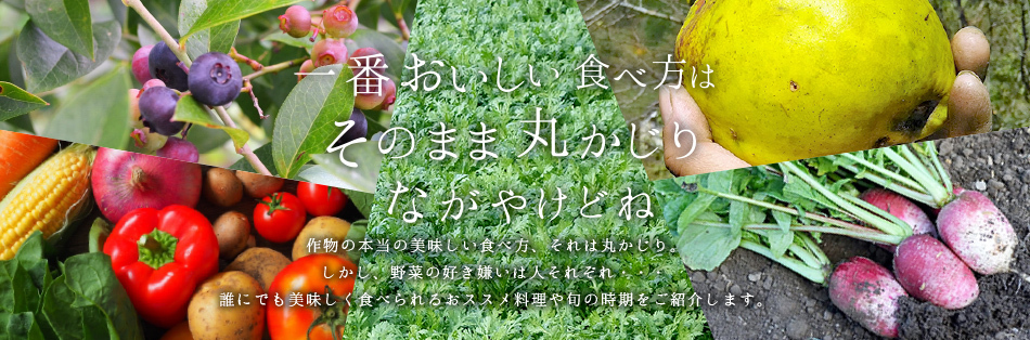 一番おいしい食べ方はそのまま丸かじり