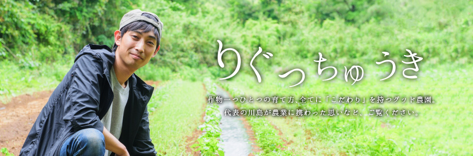 りぐっちゅうき